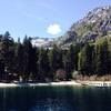 lorrainemoli291